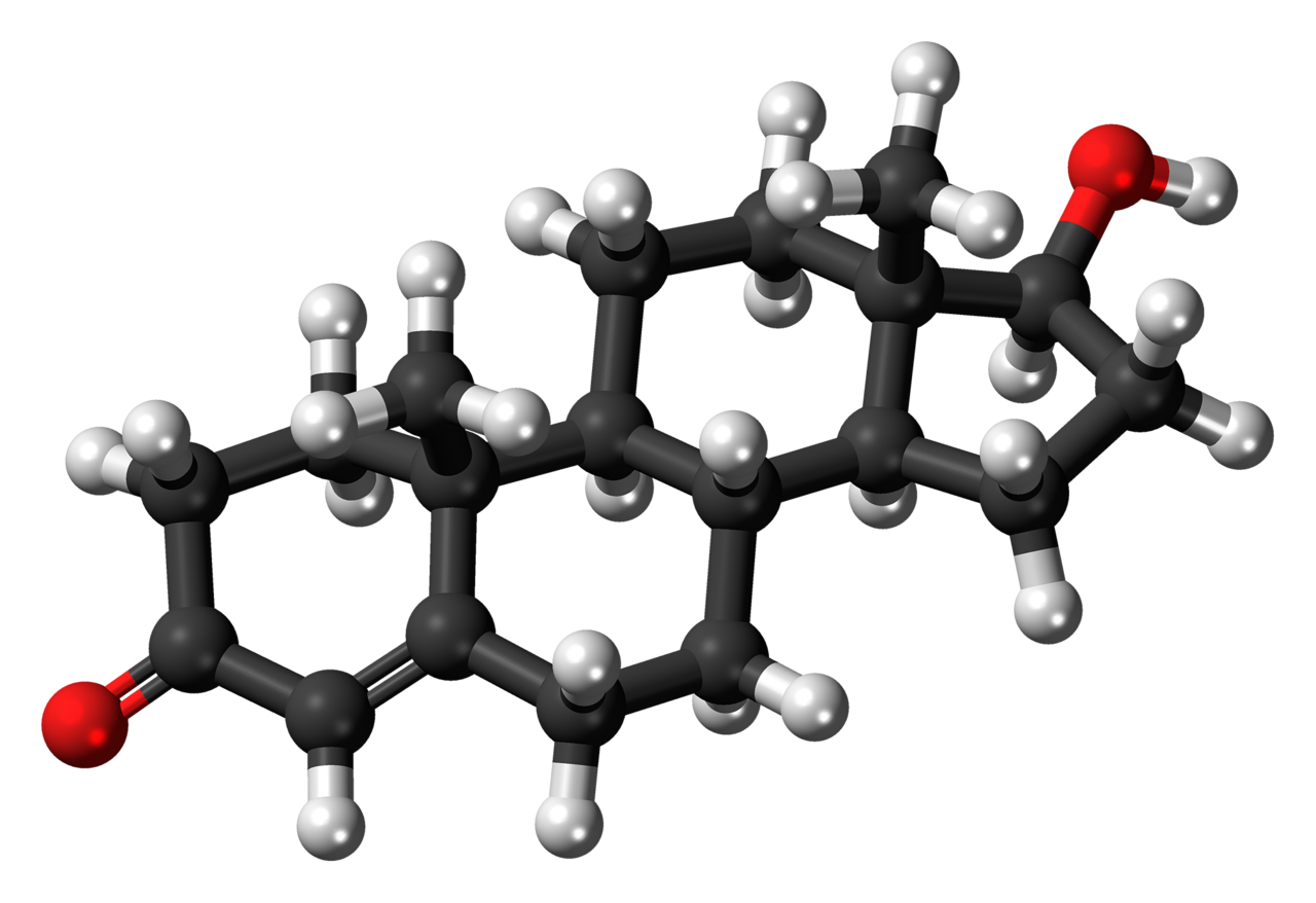 testosterone molecule